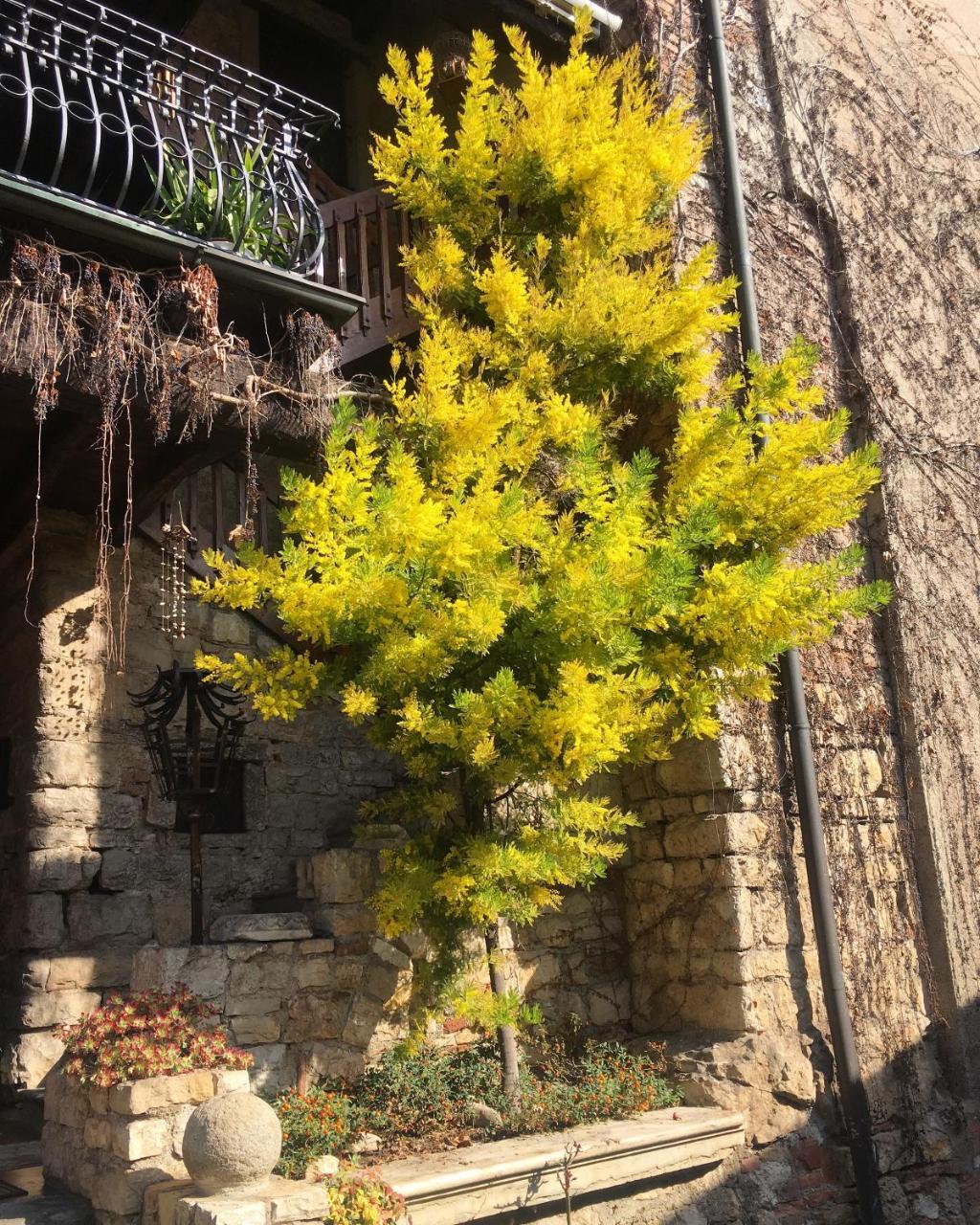 Bed and Breakfast Torre De Salis Gussago Экстерьер фото